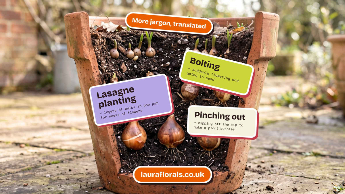 Cut-away terracotta pot showing layers of spring bulbs at different depths, with sticker labels explaining lasagne planting, bolting and pinching out.