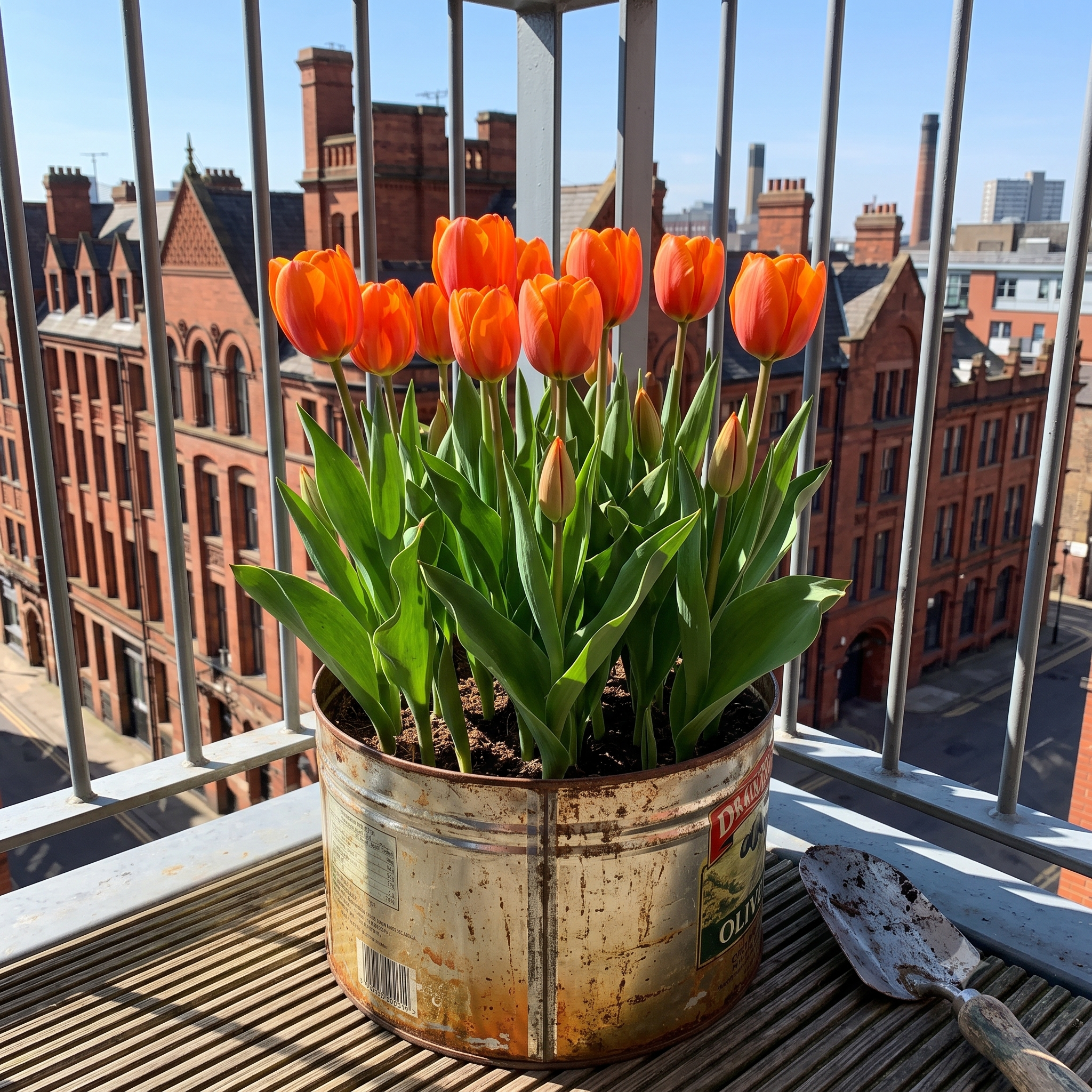 A potted cluster of orange tulips with green leaves sits on a balcony, with a vintage brick building and Manchester city street visible in the background. A small gardening trowel rests on the balcony floor nearby.