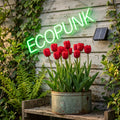 Tulip Grow Kit — 'Ile de france' Bold Red | The Bloom Boom