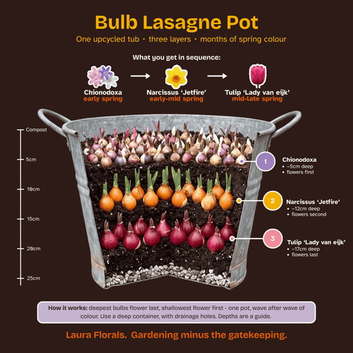 An infographic-style product image for a Bulb Lasagne Pot by Laura Florals, showing a tub filled with layered spring bulbs in different colors and depths, with explanatory text and depth markers on a dark brown background.