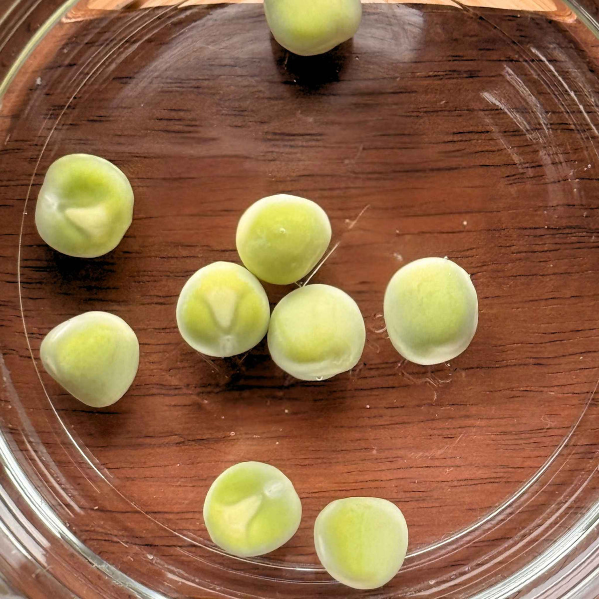 Pea 'Petit Provençal' | The Big Veg