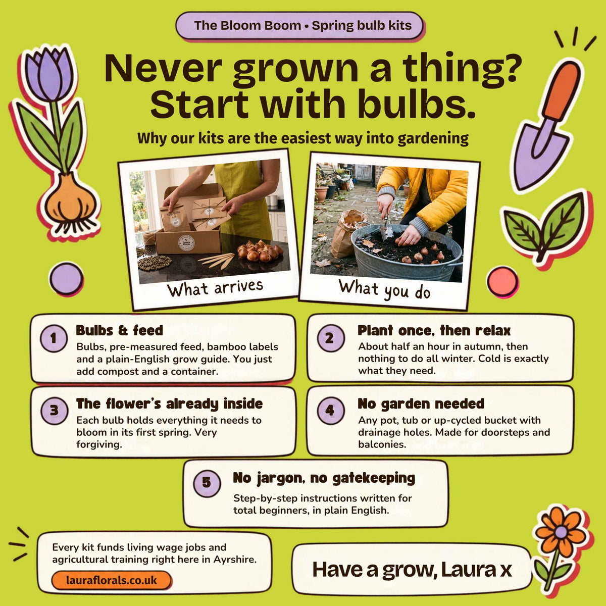 An educational autumn gardening infographic titled 'Never grown a thing? Start with bulbs.' for beginner gardeners by Laura Florals, showing a light green background with illustrations of tulips, a bulb, and a flower.