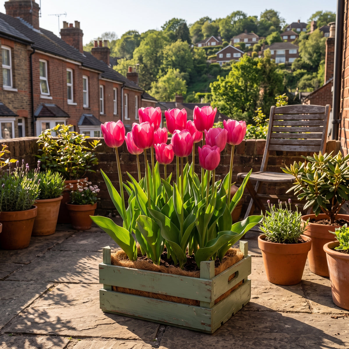 A group of bright pink 'Jumbo pink' tulips in a light green wooden crate planter, displayed on a stone patio in a sunny, High Wycombe residential patio garden setting.