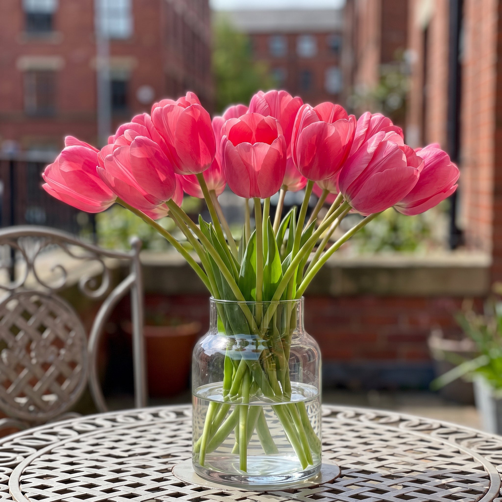 A glass vase of vibrant Tulip 'Pink Impression' blooms on a bistro table on a sunny Manchester, UK, balcony