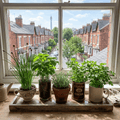 Windowsill Herb Kit — The Zing Ping